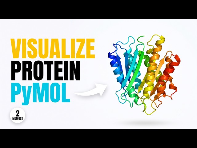 PyMOL Tutorial for Beginners | Visualize Protein Structure