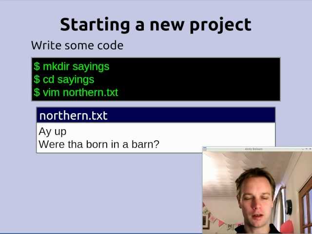 How to use git (the basics)
