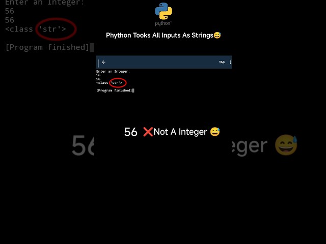POV: Phython Tooks All Inputs As Strings Data Type😅 #shorts #python #coding #programming