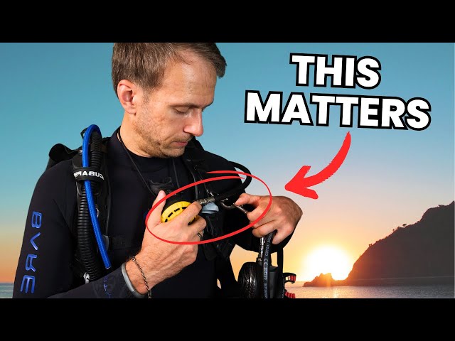 Scuba Dive Like A Pro After A Long Break!