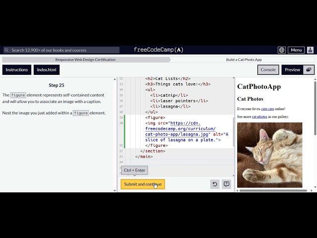 FreecodeCamp Learn Html ep 4