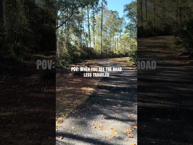 The Road Less Traveled (see description)