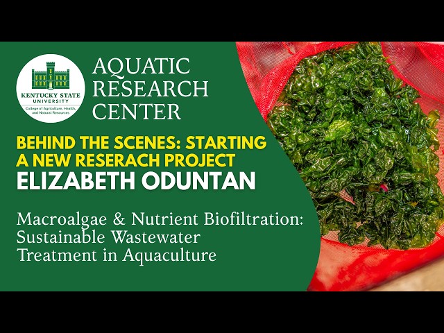 Macroalgae & Nutrient Biofiltration: Sustainable Wastewater Treatment in Aquaculture