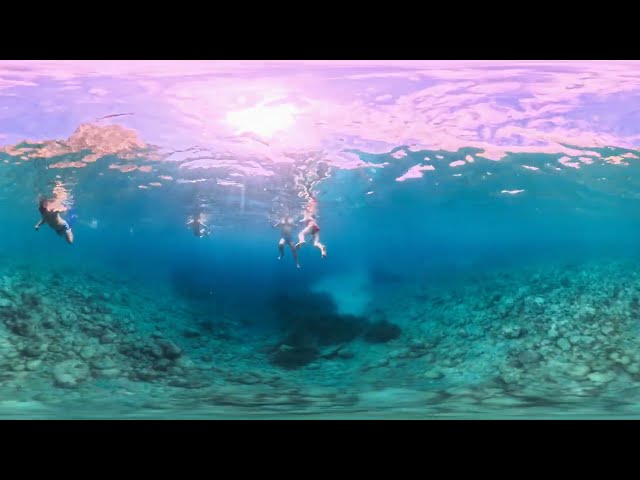 360° Swim With Me Across Clear Mediterranean Depths | 8K