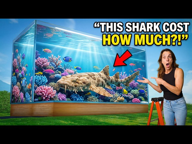 I Found the STRANGEST Shark in a Fish Store…