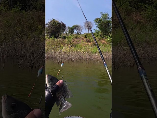 spiky spot