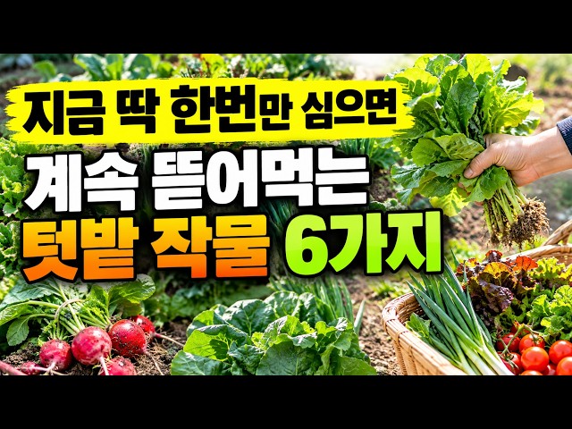 지금 딱 한번만 심으면? 배추·무 심기 놓쳐도 봄까지 뽕 뽑는 가을 텃밭 작물 6가지!