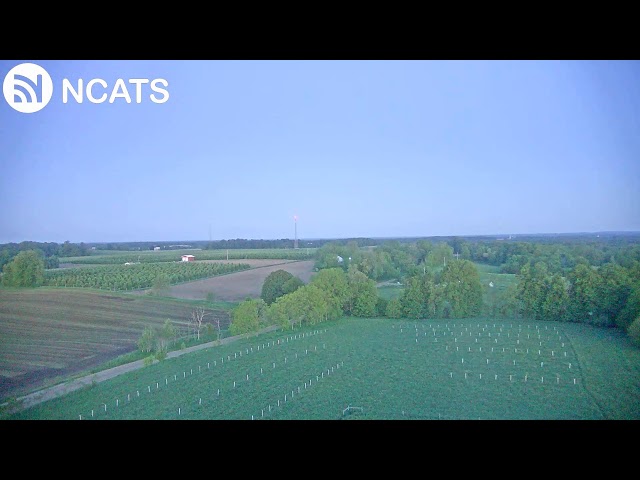 Observatory Towercam