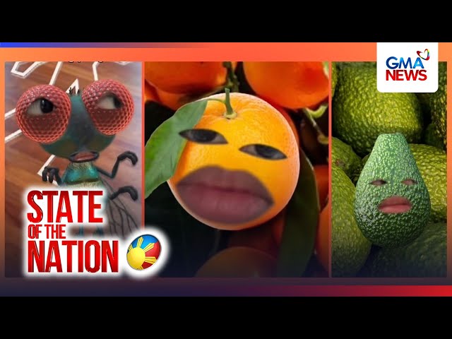 Umalmang orange na gustong maging si "Sharmaine", kinilala at tinanggap ng netizens | SONA