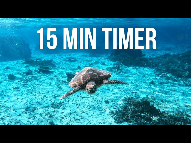15 Minute Timer With Music | Relaxing & Peaceful | Underwater Ocean Sea Life Countdown 4K
