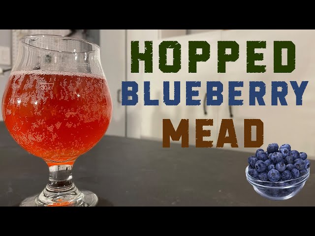 How to Make a Hopped Blueberry Session Mead (Super Crushable!)