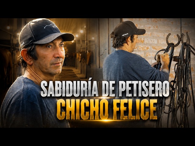 His resilience, the opportunity he didn't let pass by, and the wisdom he gained - Life as a polo ...