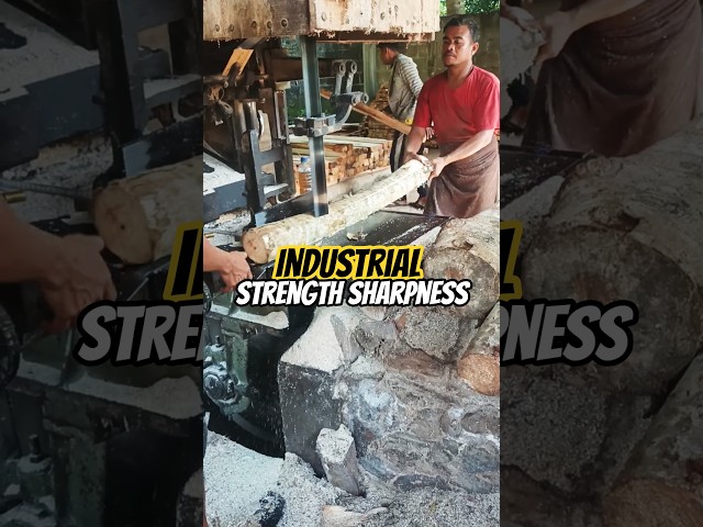 Industrial Strength Sharpness #wood #woodworking #automobile #2026#viral