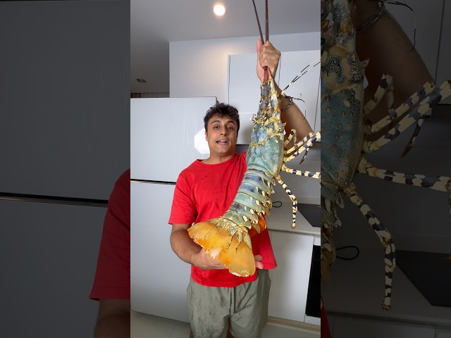 World’s Biggest Lobster!