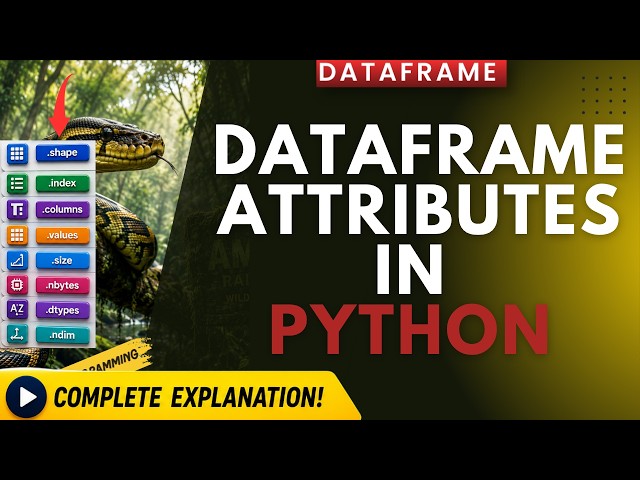 Dataframe Attributes in Python Pandas