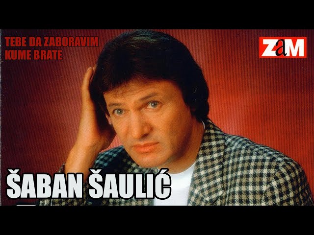 Saban Saulic - Odem ti me vratis - (Audio 1998)