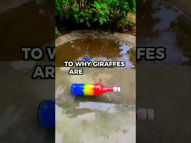 Why Long Videos? Learn Fast with Quick Knowledge! 🎯 #shorts #facts #videos