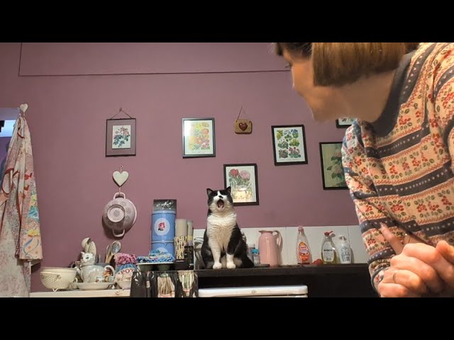 Vlogtober with Mrs D - Old knitting patterns and sewing Christmas bags