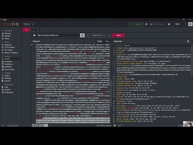 using Caido for web app analysis