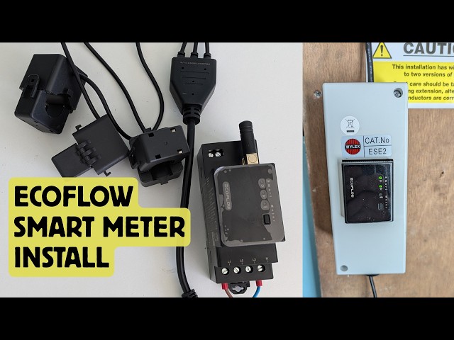 How to Install EcoFlow Smart Meter - DIY DIN Rail & Enclosure Mounting
