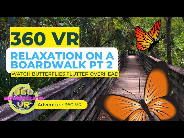 360° Relaxation on a boardwalk PT 2 - Watch Butterflies Flutter in VR !