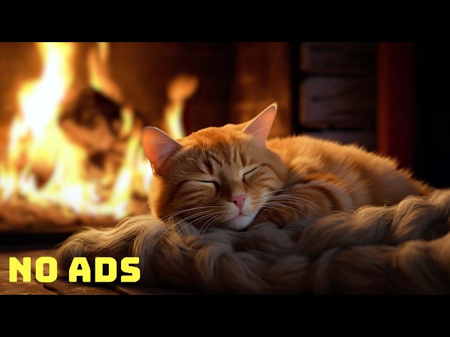 Cozy Purring Cat ASMR | Peaceful Evening Fireplace and Gentle Purr