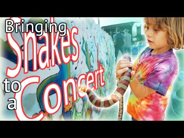Bringing Snakes to a Concert