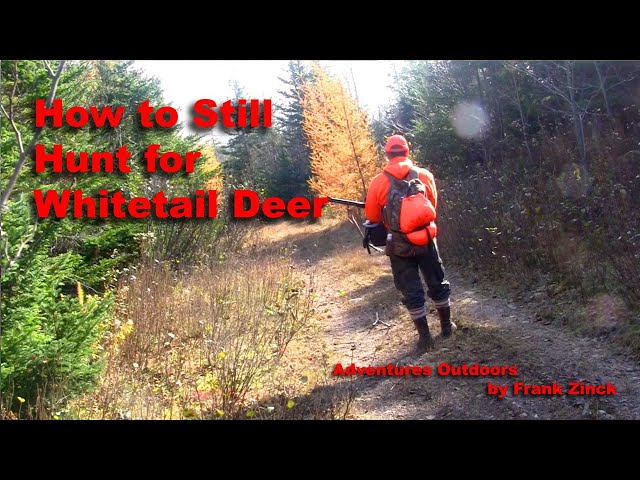 How to Still Hunt Whitetail Deer - Updated