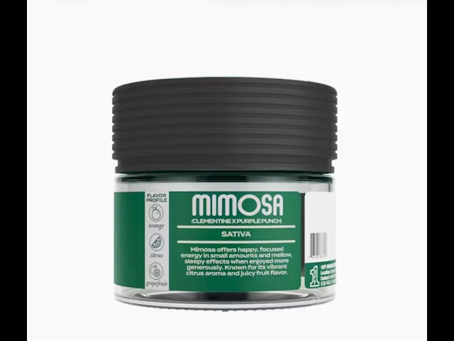 Mimosa Strain by Herb