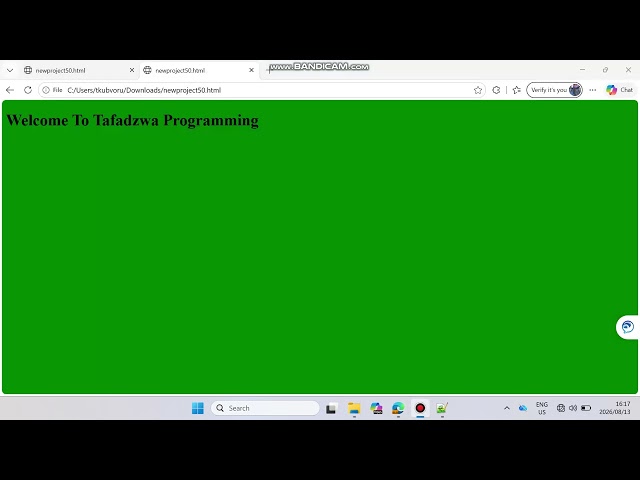 HTML,CSS & JAVASCRIPT FOR  BEGINNERS