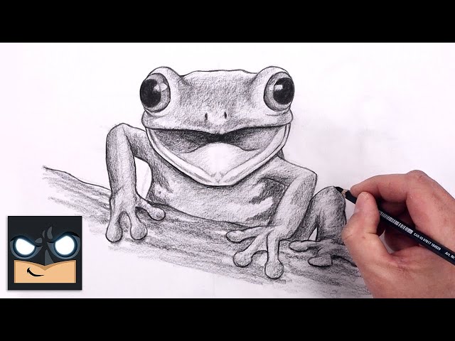 How To Draw Tree Frog | Beginner Pencil Sketch Tutorial (Step-by-Step)
