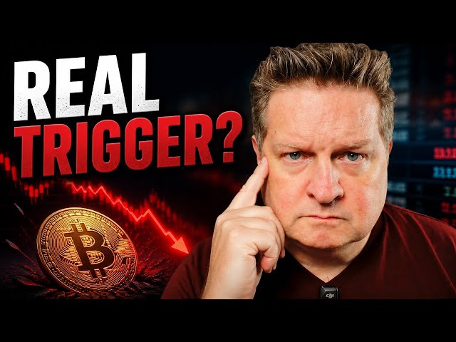 The Real Trigger Behind the Bitcoin Crash No One is Talking About | Dana Love, PhD