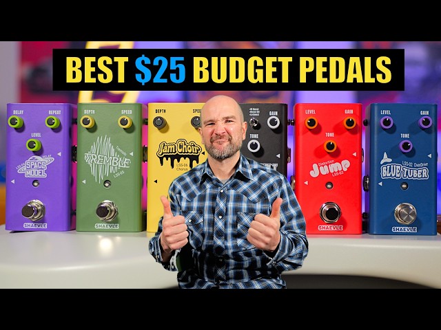 Why Pay $1000 for Multiple Pedals - These are $25 Each!