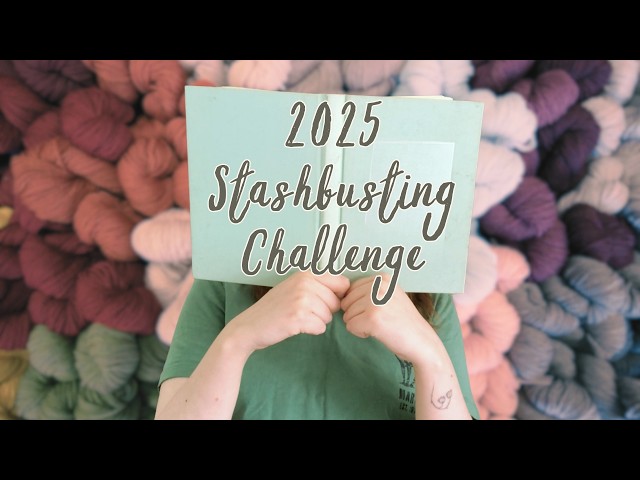 2025 Stashbusting Challenge: Knitting My Way to Under 300 Skeins!