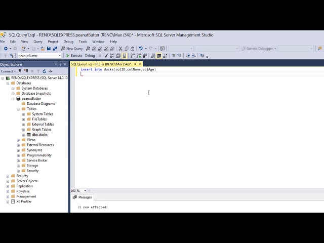 SQL Made Didily: Inserting a row into a Table in SQL