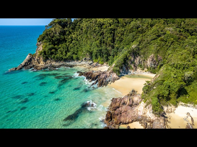 Live Camera Feed - 2025-11-30 14:52