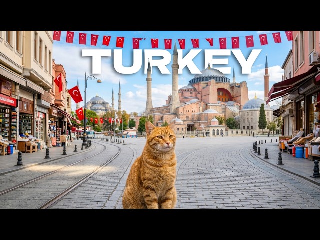 🇹🇷 WALKING THROUGH TURKEY  Istanbul (Hagia Sophia & Blue Mosque)
