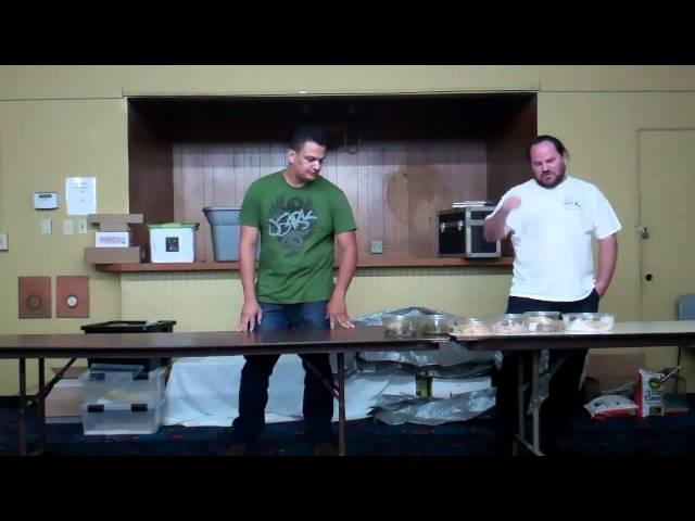 Reptile Avenue Reticulated Python Presentation