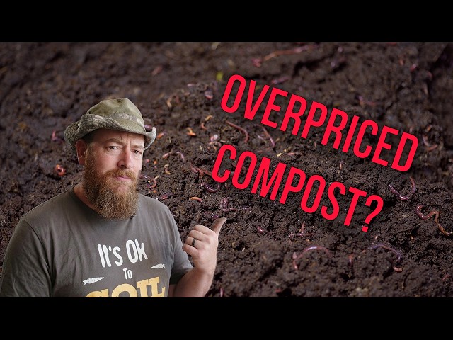 Why Worm Castings Outperform Compost (It Has Nothing to Do with NPK)
