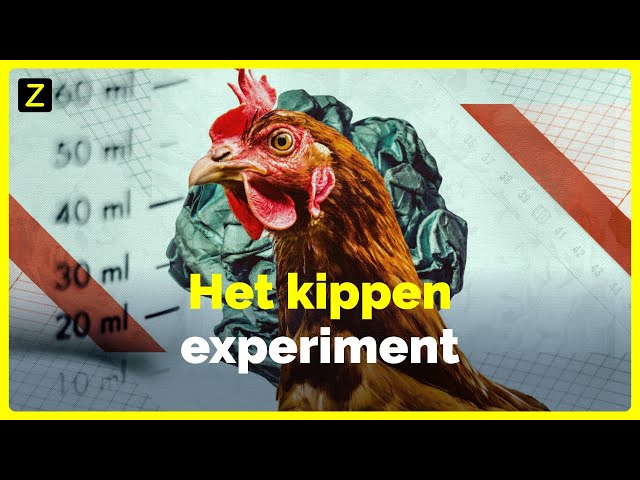 Is biologische voeding gezonder? | Zembla