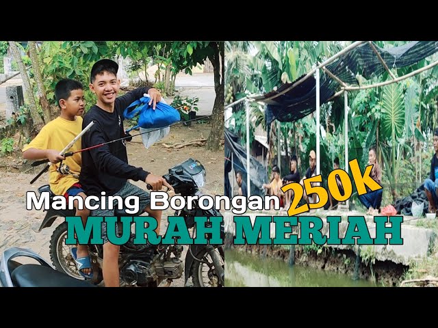 MURAH MERIAH || MANCING BORONGAN 250K || AUTO PANEN IKAN #pancingracing #mancingbareng