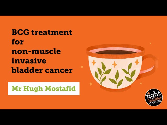 BCG treatment for non-muscle invasive bladder cancer