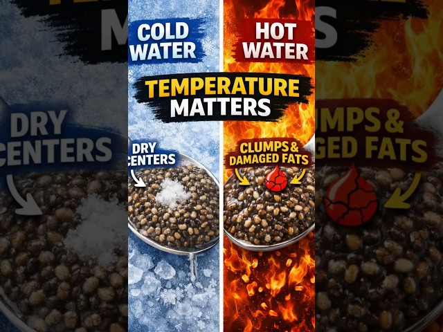 Soaking Chia Seeds Wrong? Water Temperature Is the Problem