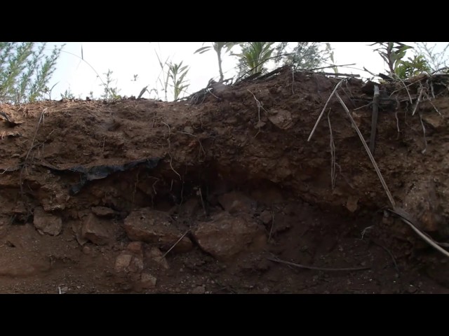 사라진목소리 indearthallgong