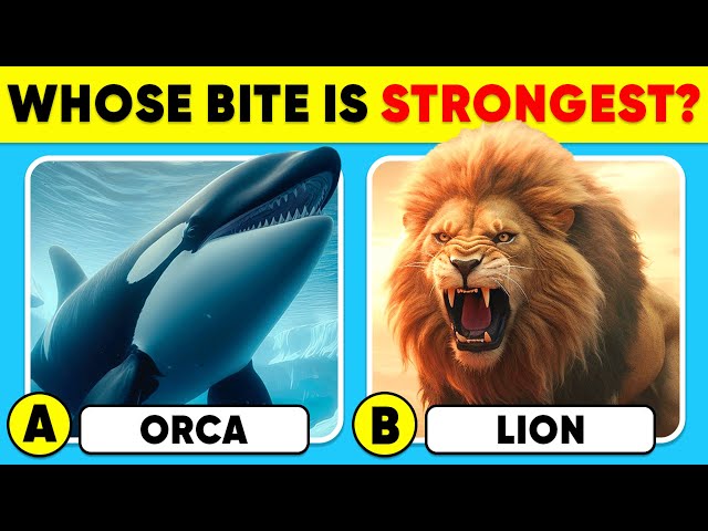 How Well Do You Know Animals? 🐳🦁✅ General Knowledge Trivia Quiz