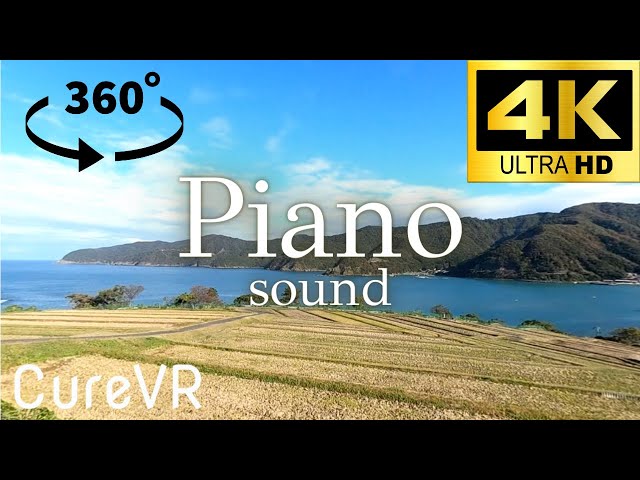 【CureVR】Relaxation, Mindfulness Meditation with English narration