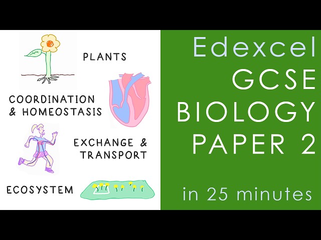 All of Edexcel BIOLOGY Paper 2 in 25 minutes - GCSE Science Revision