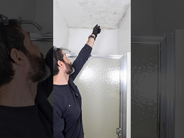Mildew Ceiling Solution - #shorts #homerepairtutor