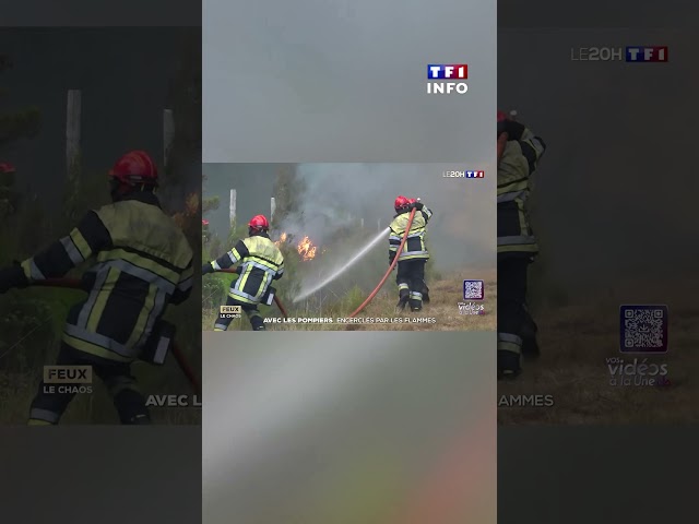 Wildfires: in Cestas, firefighters surrounded by flames｜TF1 INFO