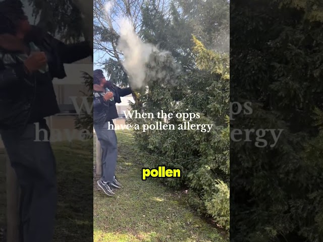 this pollen is everywhere #shortvideo